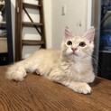 ゆきち