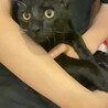 兄弟です。 サムネイル2