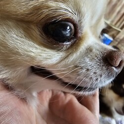 「瞳が大き過ぎるから？」サムネイル1