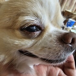 「瞳が大き過ぎるから？」サムネイル2