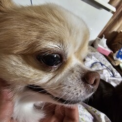 「瞳が大き過ぎるから？」サムネイル3