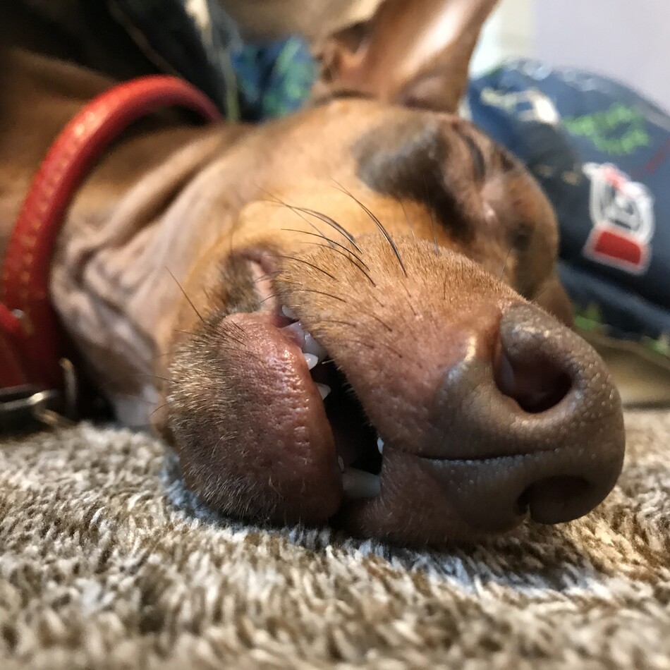 アンディーのカバー写真