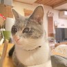 目に障害が残ってるけど見えてます‼︎ サムネイル2