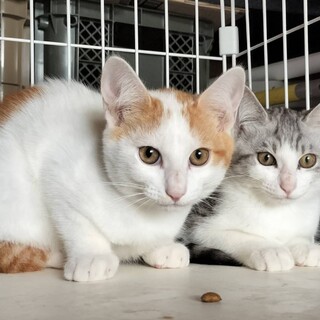 支え合う♡仲良し兄妹