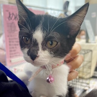 募集停止小柄でおっとり甘え上手女子❤️クリ