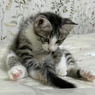 活発な男の子⭐︎夏生