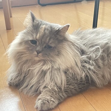 の写真