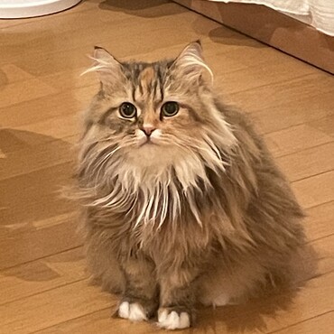 の写真