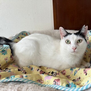 お膝大好き♡甘えん坊まろみちゃん