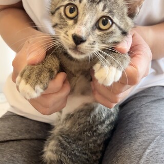 人が大好き♡お膝が大好き♡甘えたの男の子