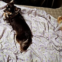 「地震への備え」サムネイル2