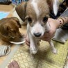 トライアル決定！募集停止 サムネイル4