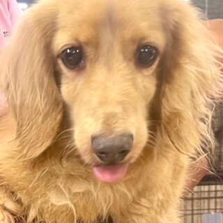 24-M195　良い子過ぎ～～～♪