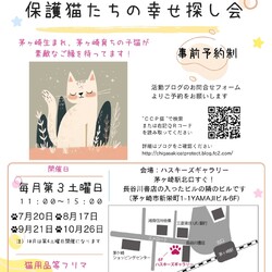 第142回　保護猫たちの幸せ探し会