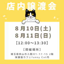 子猫いっぱい＋チワワの店内譲渡会