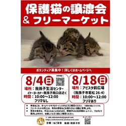 保護猫譲渡会　in我孫子