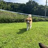 ピレ×バニMIX 男の子 サムネイル2
