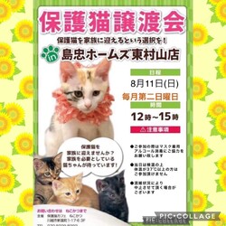 8月11日(日)島忠HOME'S東村山店譲渡会！