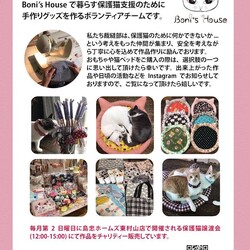 8月11日(日)島忠HOME'S東村山店譲渡会！ サムネイル2