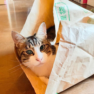 抜群のスタイルと個性的なお顔のネオくん。