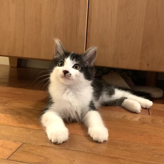 マイペースな女の子♡