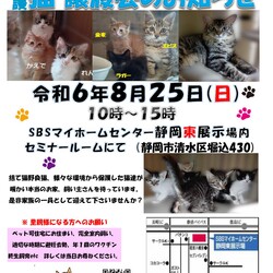 保護ニャンコの譲渡会ｂｙ静岡市清水区