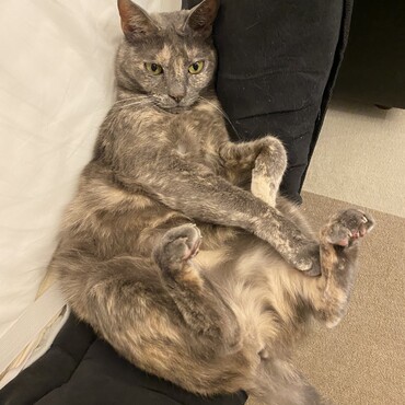 の写真