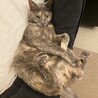 の写真