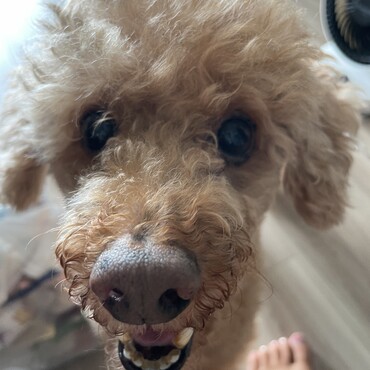 の写真