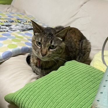 ゆづ樹ちゃん地震大丈夫で良かったけど…今度は葵姐さんトコに台風だわー(ﾟoﾟ;;