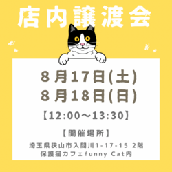 子猫と犬と成猫の店内譲渡会