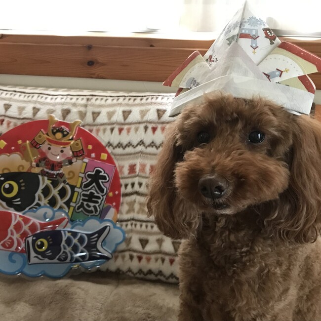 Ｎｉｃｋのカバー写真