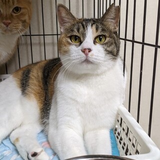 とっても優しくて穏やかな女の子♡こまちちゃん