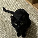 人が大好きな寂しがりの男の子　助けてください