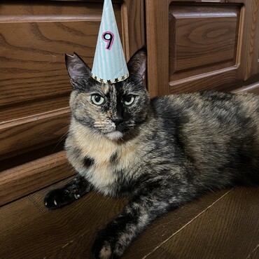 9歳の誕生日