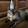 9歳の誕生日