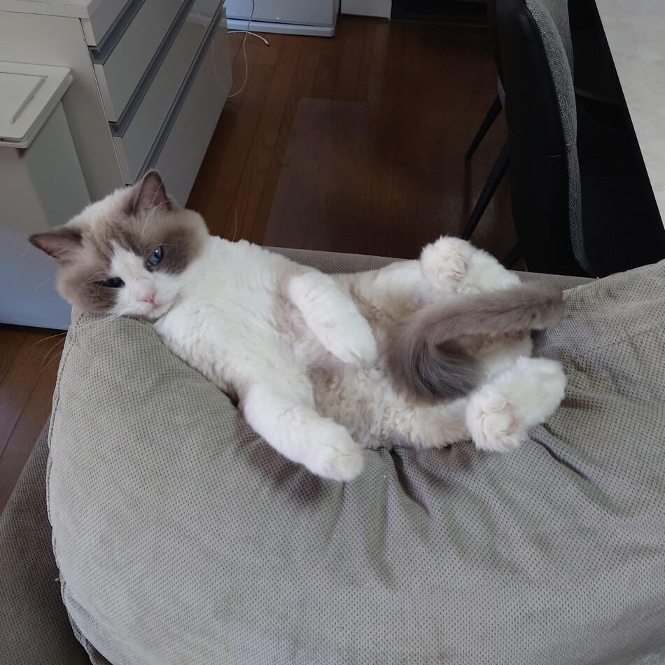 愛鈴（まりん）のカバー写真