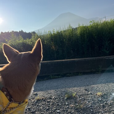 富士山とレオ
