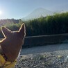 富士山とレオ