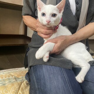 良いご縁に繋がりました。