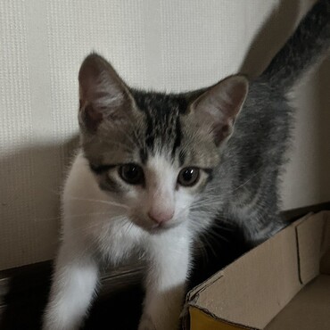 の写真