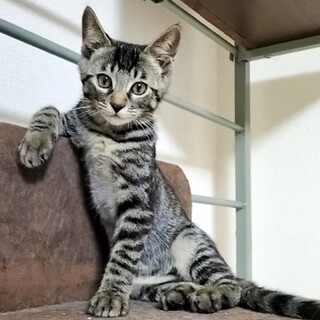 遊ぶより人が大好き♪DJコー♂です（5兄妹）