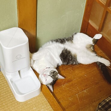 の写真