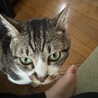 yumiomiさん