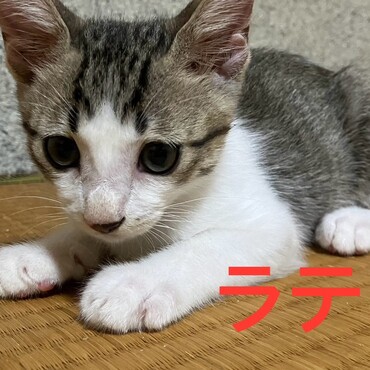 の写真