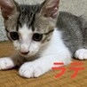 の写真