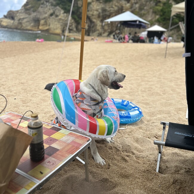 テオニクス5世のカバー写真