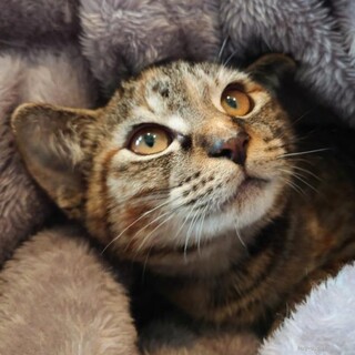 怖がりだけどすぐに慣れたランランちゃん♪♪