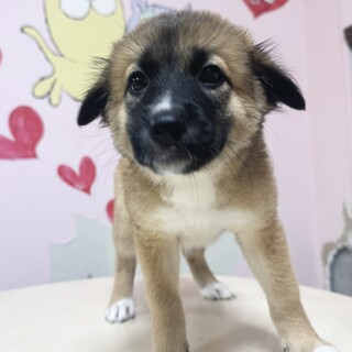 とっても元気なうみちゃん