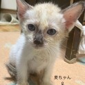 姉妹で迎えてくださる方に